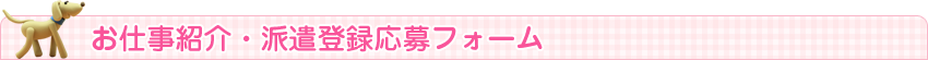 お仕事紹介・派遣登録応募